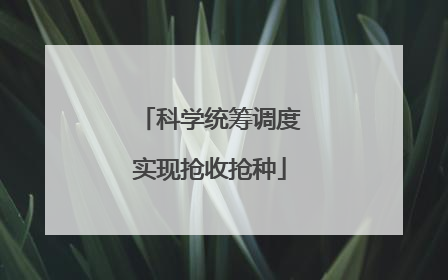科学统筹调度实现抢收抢种